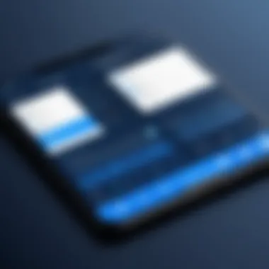 Visual representation of Bluesnap's user interface