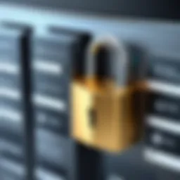 Secure file sharing concept with digital locks