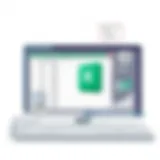 Advanced Functionalities of Spreadsheet Software Advanced functionalities of spreadsheet software