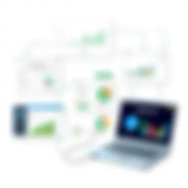 Applications of spreadsheets in various fields