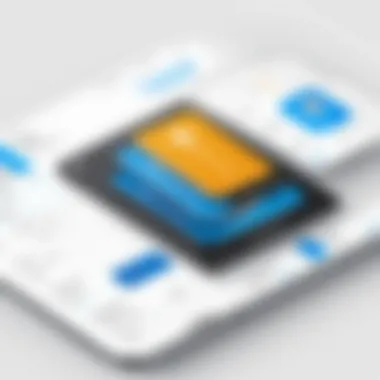 Customization Options in Concur Payment Manager Diagram showing customization options available in Concur Payment Manager.