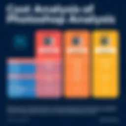 Comparative analysis of Photoshop pricing