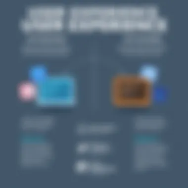 User Experience Infographic An infographic representing user experiences and use cases for both software types