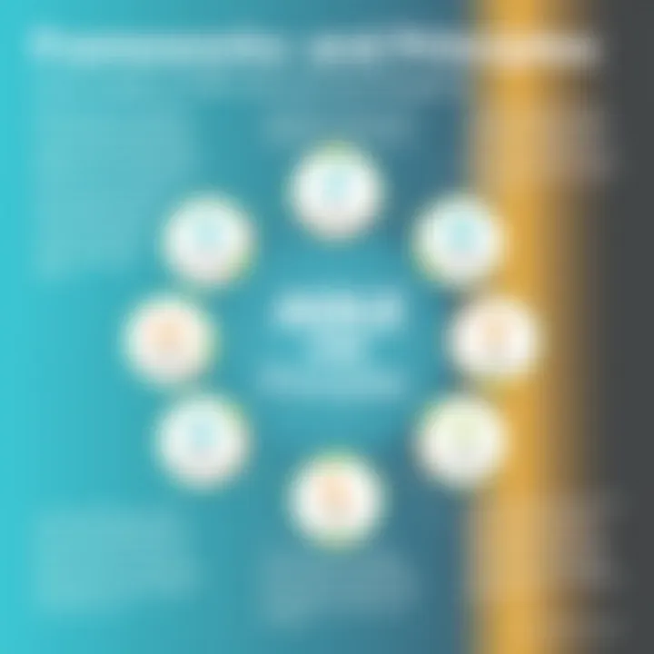 A visual representation of Agile One MSP's frameworks and principles