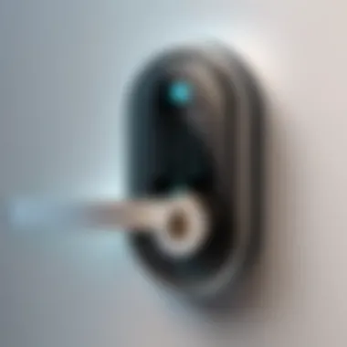 Illustration of a digital lock symbolizing security in password management