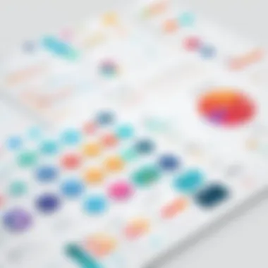 Audience Demographics Insights Infographic showing audience demographics for targeted marketing
