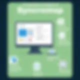 An overview of Syncromsp interface highlighting its features