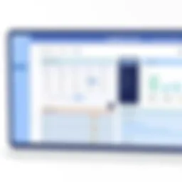 TidyCal dashboard interface showcasing scheduling features