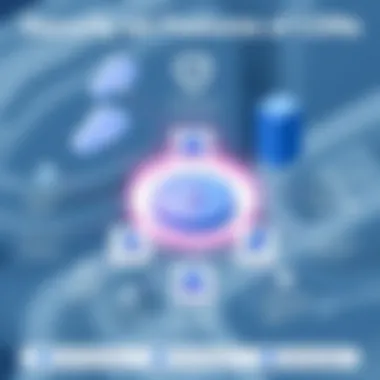 Diagram explaining security features of CDNs