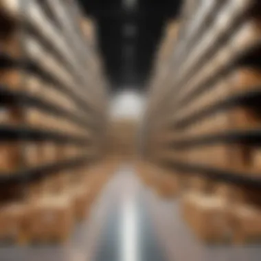 Inventory Management with Manhattan WMS Graphic representation of warehouse inventory management with Manhattan WMS.