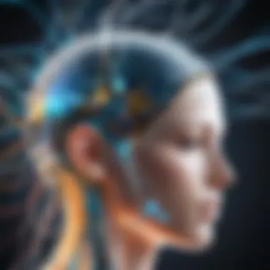 Neural and Physical Connections Visualization of neural and physical connections