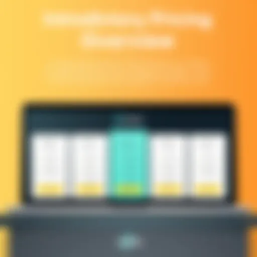 Introductory Pricing Overview of Ooma Visual representation of Ooma's introductory pricing structure