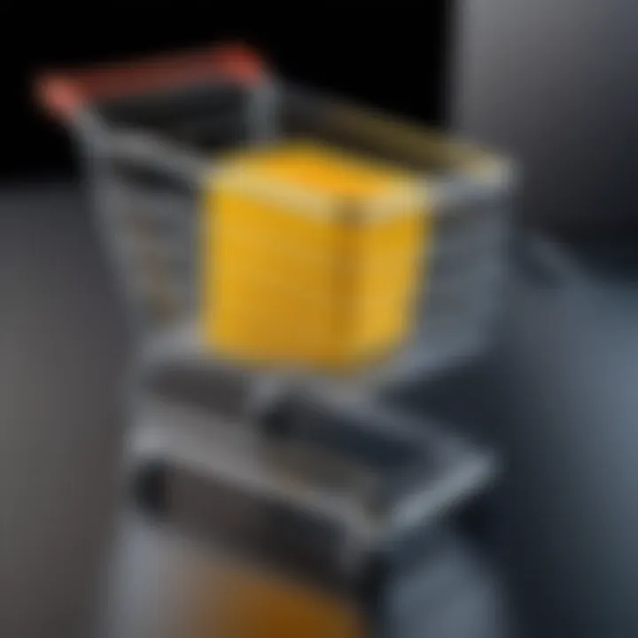 Overview of advantages and limitations of Wix shopping cart