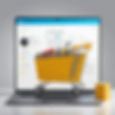 Diverse Customization Features Customization options available in Wix for e-commerce