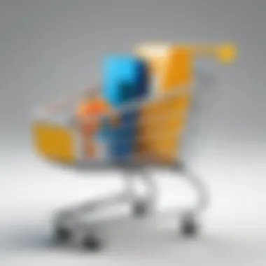 User-Friendly Shopping Cart Interface Wix shopping cart interface showcasing product selection